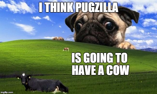 In more than one sense. | I THINK PUGZILLA IS GOING TO HAVE A COW | image tagged in pug windows hill,inferno390,pugzilla | made w/ Imgflip meme maker