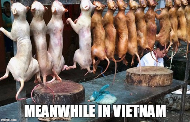 Yummy Cats | MEANWHILE IN VIETNAM | made w/ Imgflip meme maker