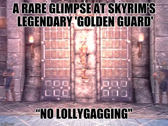 Skyrim Guard | A RARE GLIMPSE AT SKYRIM'S LEGENDARY 'GOLDEN GUARD' “NO LOLLYGAGGING" | image tagged in skyrim guard | made w/ Imgflip meme maker
