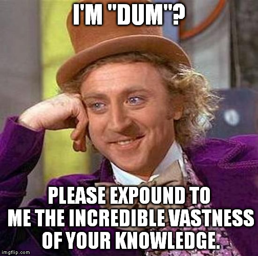 Have you ever been called "dum"? | I'M "DUM"? PLEASE EXPOUND TO ME THE INCREDIBLE VASTNESS OF YOUR KNOWLEDGE. | image tagged in memes,creepy condescending wonka | made w/ Imgflip meme maker
