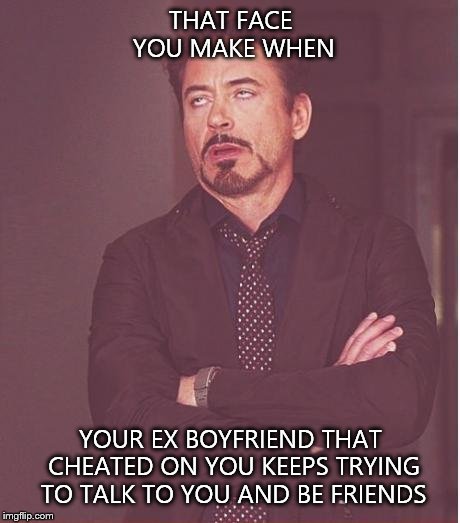 ARRRRGGGGG!!! Why is he tortoring me?!?!?!?!??? | THAT FACE YOU MAKE WHEN YOUR EX BOYFRIEND THAT CHEATED ON YOU KEEPS TRYING TO TALK TO YOU AND BE FRIENDS | image tagged in memes,face you make robert downey jr,ex,why,torture,hate | made w/ Imgflip meme maker