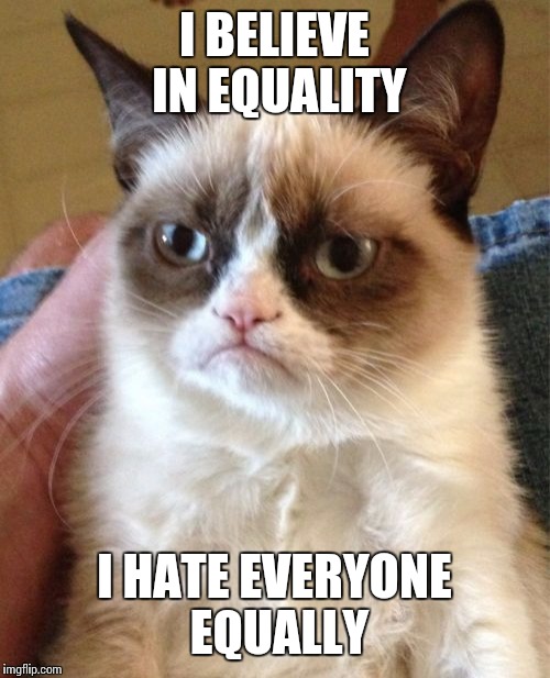 Grumpy Cat Meme | I BELIEVE IN EQUALITY I HATE EVERYONE EQUALLY | image tagged in memes,grumpy cat | made w/ Imgflip meme maker