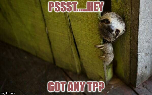 Ghetto Sloth | PSSST.....HEY GOT ANY TP? | image tagged in sloth | made w/ Imgflip meme maker