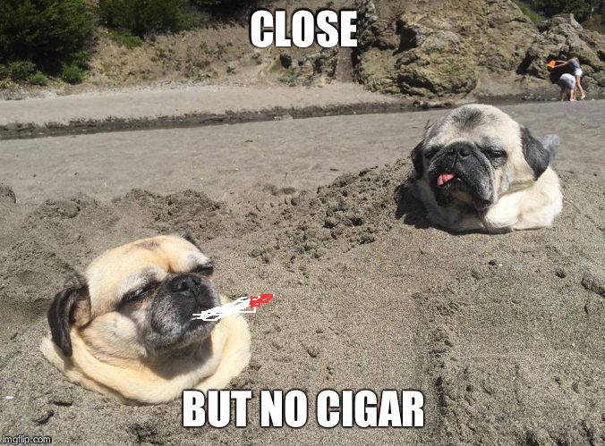 Sunbathing pugs | CLOSE BUT NO CIGAR | image tagged in sunbathing pugs | made w/ Imgflip meme maker
