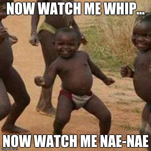 Third World Success Kid Meme | NOW WATCH ME WHIP... NOW WATCH ME NAE-NAE | image tagged in memes,third world success kid | made w/ Imgflip meme maker
