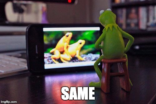 Kermit... Shame on you... | SAME | image tagged in kermit,porn,tv,sex,muppets,bad kermit | made w/ Imgflip meme maker
