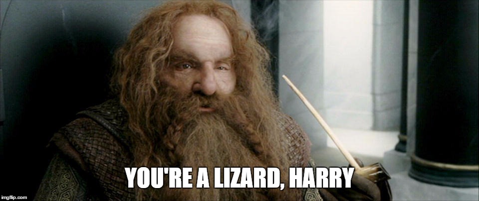 YOU'RE A LIZARD, HARRY | made w/ Imgflip meme maker