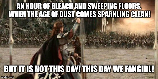 AN HOUR OF BLEACH AND SWEEPING FLOORS, WHEN THE AGE OF DUST COMES SPARKLING CLEAN! BUT IT IS NOT THIS DAY! THIS DAY WE FANGIRL! | image tagged in fangirl,fandom,lotr | made w/ Imgflip meme maker