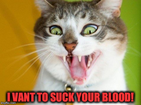 Dracula's cat  | I VANT TO SUCK YOUR BLOOD! | image tagged in vampire cat,dracula's cat | made w/ Imgflip meme maker