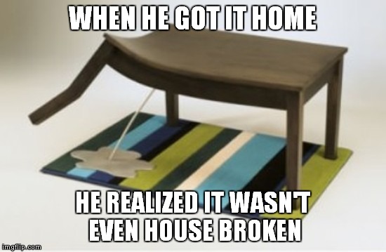 WHEN HE GOT IT HOME HE REALIZED IT WASN'T EVEN HOUSE BROKEN | made w/ Imgflip meme maker