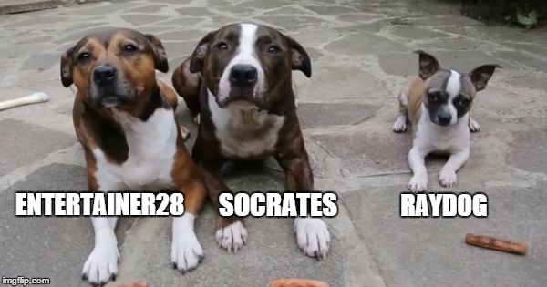 raydog longs to join the million point club.   | ENTERTAINER28 RAYDOG SOCRATES | image tagged in memes,meme,leaderboard,raydog,socrates,entertainer28 | made w/ Imgflip meme maker