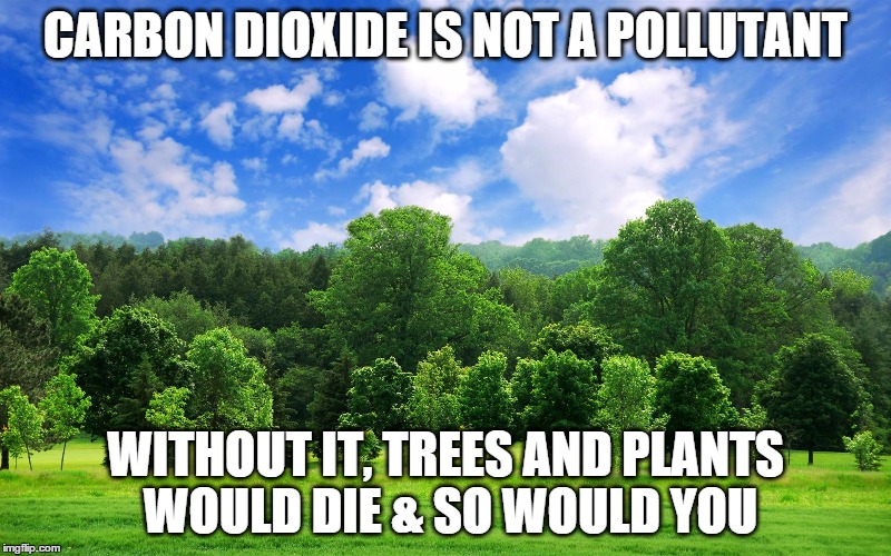 trees | CARBON DIOXIDE IS NOT A POLLUTANT WITHOUT IT, TREES AND PLANTS WOULD DIE & SO WOULD YOU | image tagged in trees | made w/ Imgflip meme maker