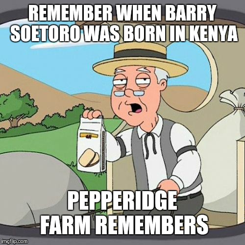 Born in Kenya | REMEMBER WHEN BARRY SOETORO WAS BORN IN KENYA PEPPERIDGE FARM REMEMBERS | image tagged in memes,pepperidge farm remembers | made w/ Imgflip meme maker