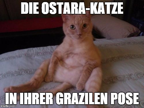 Chester The Cat Meme | DIE OSTARA-KATZE IN IHRER GRAZILEN POSE | image tagged in memes,chester the cat | made w/ Imgflip meme maker