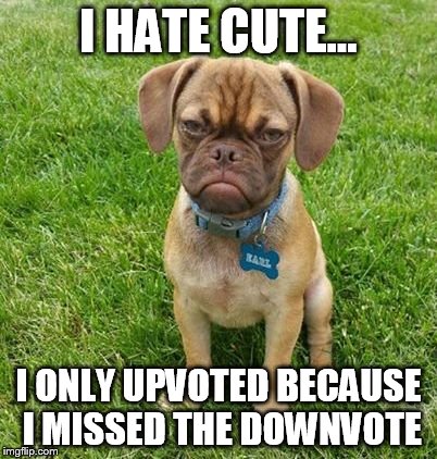 I HATE CUTE... I ONLY UPVOTED BECAUSE I MISSED THE DOWNVOTE | made w/ Imgflip meme maker