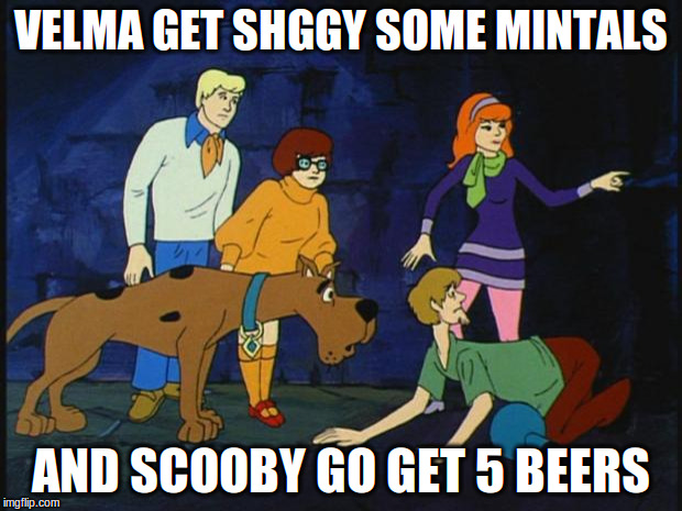 scooby doo  | VELMA GET SHGGY SOME MINTALS AND SCOOBY GO GET 5 BEERS | image tagged in scooby doo | made w/ Imgflip meme maker