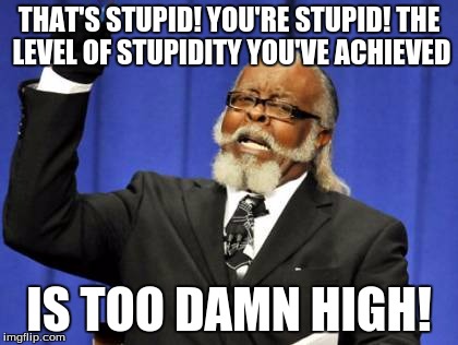 Too Damn High | THAT'S STUPID! YOU'RE STUPID! THE LEVEL OF STUPIDITY YOU'VE ACHIEVED IS TOO DAMN HIGH! | image tagged in memes,too damn high | made w/ Imgflip meme maker