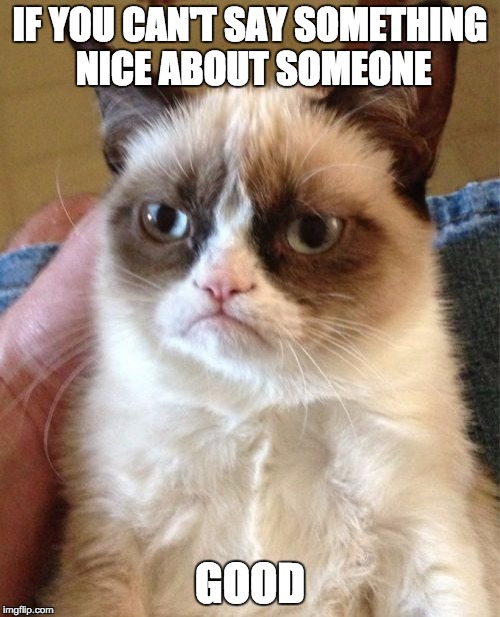 Grumpy Cat | IF YOU CAN'T SAY SOMETHING NICE ABOUT SOMEONE GOOD | image tagged in memes,grumpy cat | made w/ Imgflip meme maker