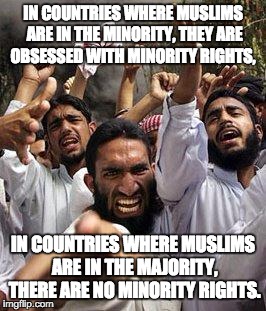 angry muslim | IN COUNTRIES WHERE MUSLIMS ARE IN THE MINORITY, THEY ARE OBSESSED WITH MINORITY RIGHTS, IN COUNTRIES WHERE MUSLIMS ARE IN THE MAJORITY, THER | image tagged in angry muslim | made w/ Imgflip meme maker