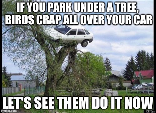 Secure Parking | IF YOU PARK UNDER A TREE, BIRDS CRAP ALL OVER YOUR CAR LET'S SEE THEM DO IT NOW | image tagged in memes,secure parking | made w/ Imgflip meme maker