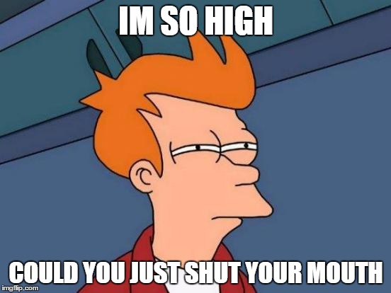 Futurama Fry Meme | IM SO HIGH COULD YOU JUST SHUT YOUR MOUTH | image tagged in memes,futurama fry | made w/ Imgflip meme maker