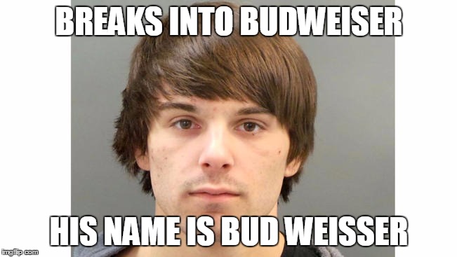 BREAKS INTO BUDWEISER HIS NAME IS BUD WEISSER | image tagged in meme,funny,beer,budweiser | made w/ Imgflip meme maker