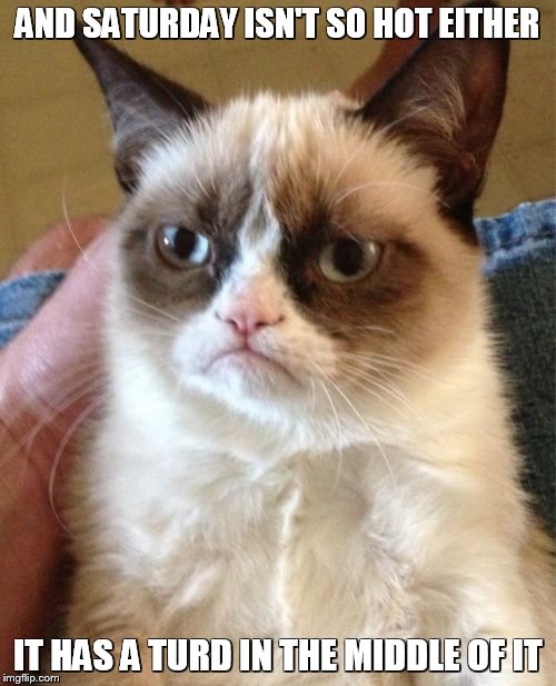 Grumpy Cat Meme | AND SATURDAY ISN'T SO HOT EITHER IT HAS A TURD IN THE MIDDLE OF IT | image tagged in memes,grumpy cat | made w/ Imgflip meme maker