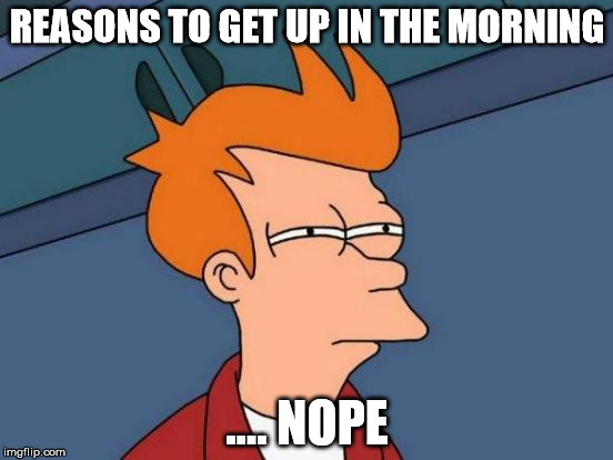 Futurama Fry Meme | REASONS TO GET UP IN THE MORNING .... NOPE | image tagged in memes,futurama fry,nope,morning | made w/ Imgflip meme maker