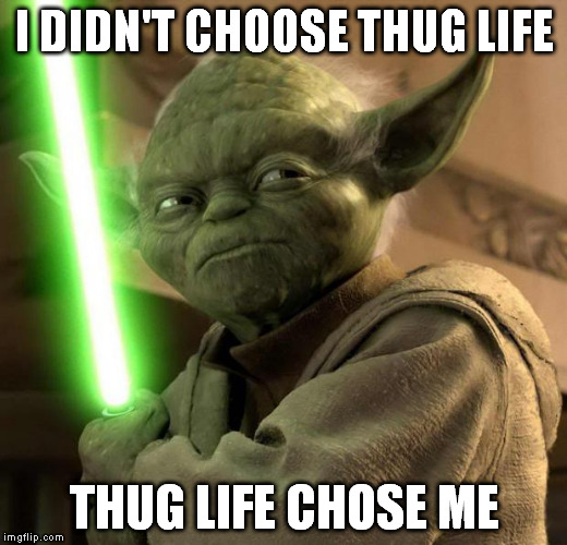 Angry Yoda | I DIDN'T CHOOSE THUG LIFE THUG LIFE CHOSE ME | image tagged in angry yoda | made w/ Imgflip meme maker