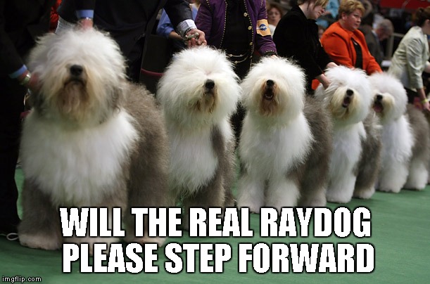 WILL THE REAL RAYDOG PLEASE STEP FORWARD | made w/ Imgflip meme maker