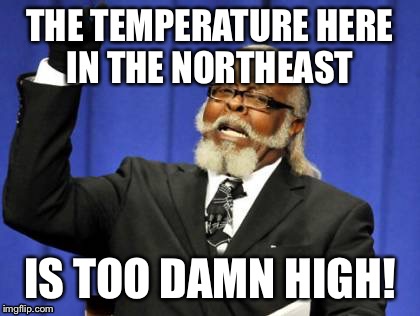 #firstworldelniñoproblems | THE TEMPERATURE HERE IN THE NORTHEAST IS TOO DAMN HIGH! | image tagged in memes,too damn high | made w/ Imgflip meme maker