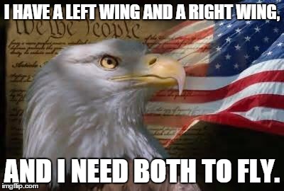 American Eagle | I HAVE A LEFT WING AND A RIGHT WING, AND I NEED BOTH TO FLY. | image tagged in american eagle | made w/ Imgflip meme maker