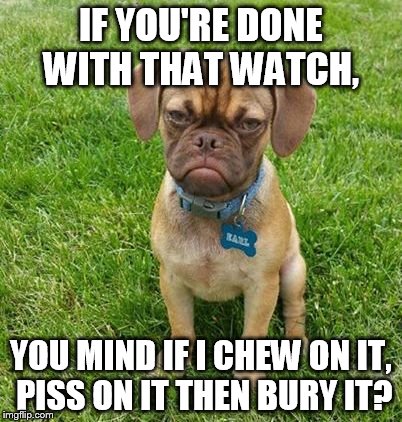 IF YOU'RE DONE WITH THAT WATCH, YOU MIND IF I CHEW ON IT, PISS ON IT THEN BURY IT? | made w/ Imgflip meme maker