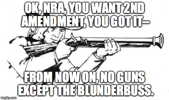 Only the Blunderbuss! | OK, NRA, YOU WANT 2ND AMENDMENT, YOU GOT IT-- FROM NOW ON, NO GUNS EXCEPT THE BLUNDERBUSS. | image tagged in nra,2nd amendment,blunderbuss | made w/ Imgflip meme maker