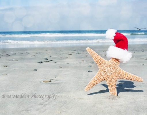 Christmas beach Blank Meme Template