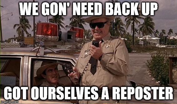 but sheriff, it's a popular meme.. | WE GON' NEED BACK UP GOT OURSELVES A REPOSTER | image tagged in sheriff | made w/ Imgflip meme maker
