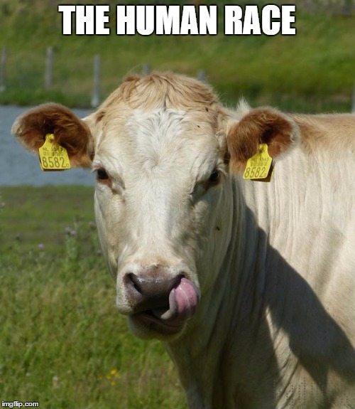 THE HUMAN RACE | made w/ Imgflip meme maker