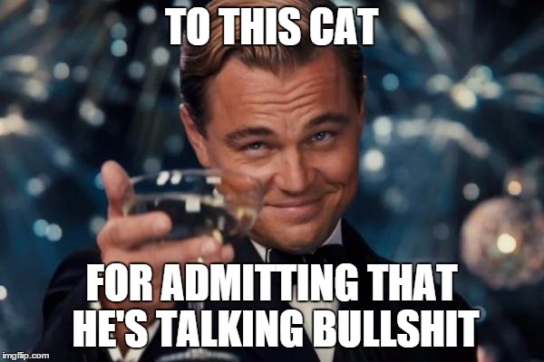Leonardo Dicaprio Cheers Meme | TO THIS CAT FOR ADMITTING THAT HE'S TALKING BULLSHIT | image tagged in memes,leonardo dicaprio cheers | made w/ Imgflip meme maker