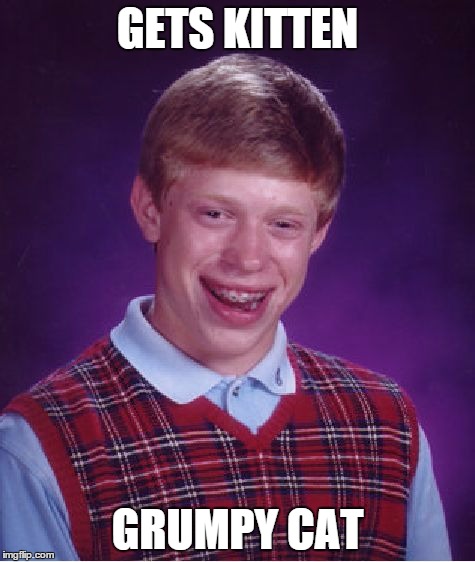 Bad Luck Brian Meme | GETS KITTEN GRUMPY CAT | image tagged in memes,bad luck brian | made w/ Imgflip meme maker