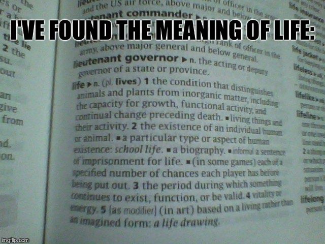 I am philosopher. :) | I'VE FOUND THE MEANING OF LIFE: | image tagged in the meaning of life,life,dictionary,captain obvious,42,googol | made w/ Imgflip meme maker