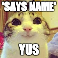 potatos and catshi crazy | 'SAYS NAME' YUS | image tagged in potatos and catshi crazy | made w/ Imgflip meme maker