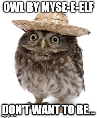 sombrero owl | OWL BY MYSE-E-ELF DON'T WANT TO BE... | image tagged in sombrero owl,owl,music | made w/ Imgflip meme maker