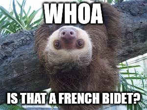 WHOA IS THAT A FRENCH BIDET? | made w/ Imgflip meme maker