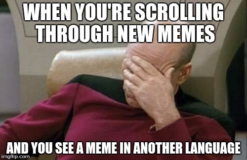 Captain Picard Facepalm | WHEN YOU'RE SCROLLING THROUGH NEW MEMES AND YOU SEE A MEME IN ANOTHER LANGUAGE | image tagged in memes,captain picard facepalm | made w/ Imgflip meme maker