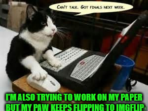 I'M ALSO TRYING TO WORK ON MY PAPER BUT MY PAW KEEPS FLIPPING TO IMGFLIP | made w/ Imgflip meme maker