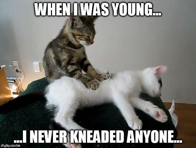 WHEN I WAS YOUNG... ...I NEVER KNEADED ANYONE... | made w/ Imgflip meme maker