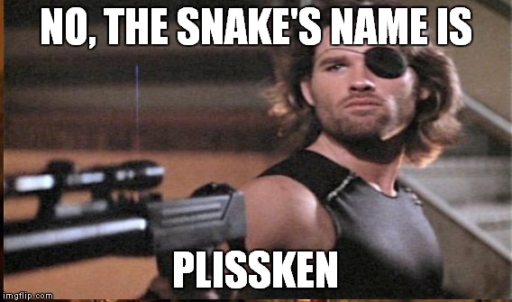 NO, THE SNAKE'S NAME IS PLISSKEN | made w/ Imgflip meme maker