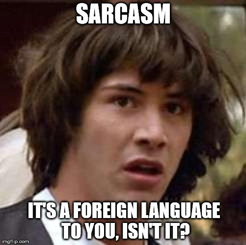 keanu Reeves  | SARCASM IT'S A FOREIGN LANGUAGE TO YOU, ISN'T IT? | image tagged in keanu reeves  | made w/ Imgflip meme maker