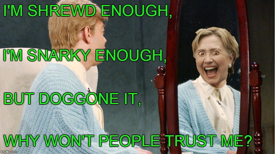 I'M SHREWD ENOUGH, WHY WON'T PEOPLE TRUST ME? I'M SNARKY ENOUGH, BUT DOGGONE IT, | made w/ Imgflip meme maker