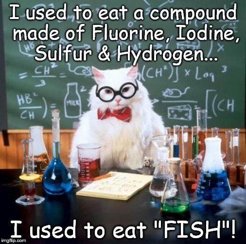 Chemistry Cat | I used to eat a compound made of Fluorine, Iodine, Sulfur & Hydrogen... I used to eat "FISH"! | image tagged in memes,chemistry cat,hydrogen,iodine,sulfur,fluorine | made w/ Imgflip meme maker